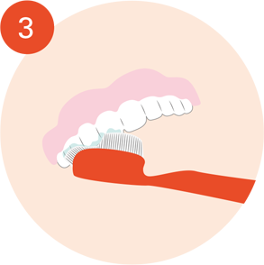 Brush all surfaces of the denture well